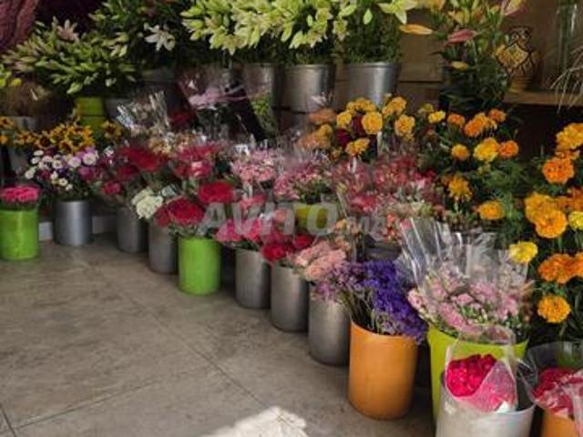 Propriété vente à Had Soualem, Gharb-Chrarda-Beni Hssen