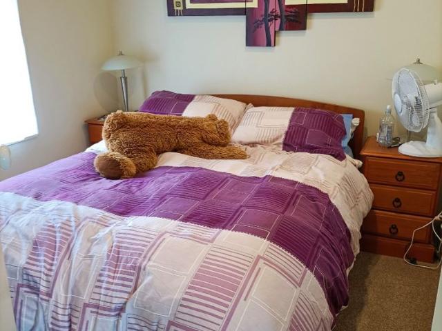 House for rent in Matata, Wellington