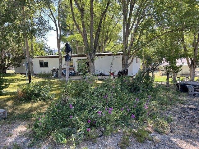 House for sale in Ruby Valley, Nevada
