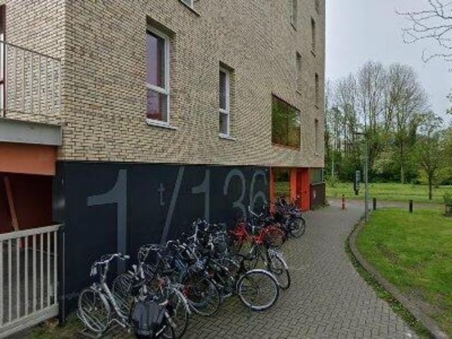 Appartement te huur in Paddepoel-Zuid, Groningen