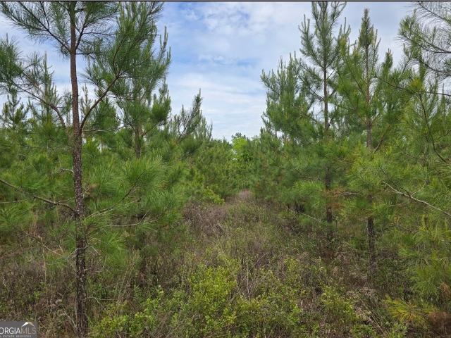 Land for sale in Schley, Georgia
