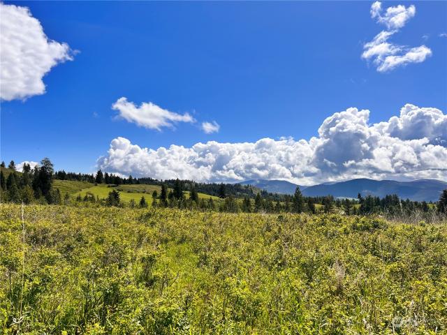 Land for sale in Washington