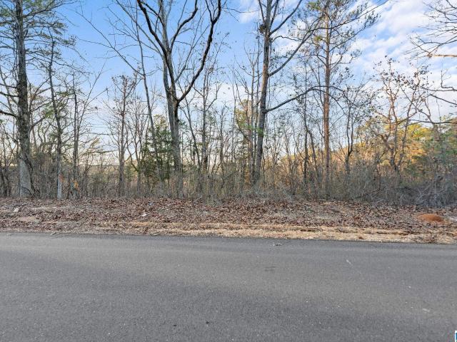Land for sale in Vance, Alabama