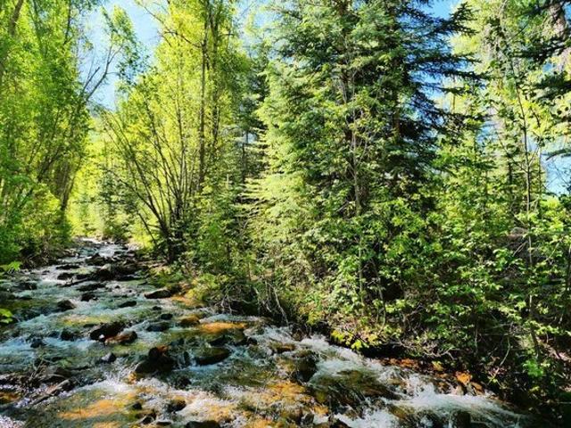 Land for sale in Rico, Colorado