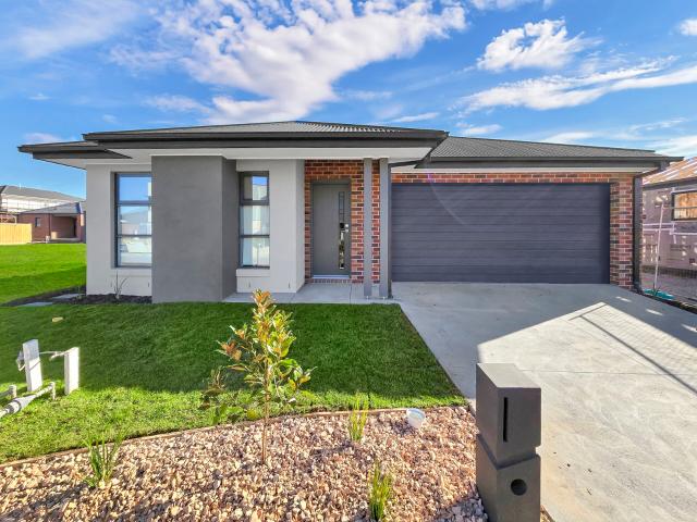 House for rent in Geelong, Victoria