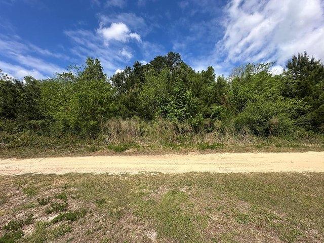 Land for sale in Lowndes, Georgia
