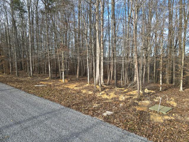 Land for sale in Russell Springs, Kentucky