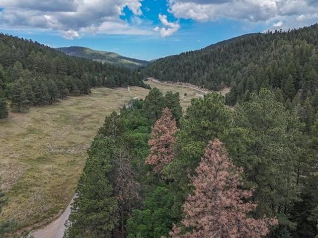 Land for sale in Cloudcroft, New Mexico