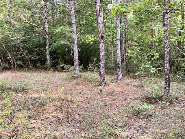 Land for sale in Lumberton, Mississippi