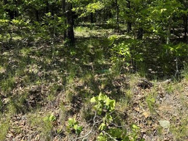 Land for sale in Vian, Oklahoma
