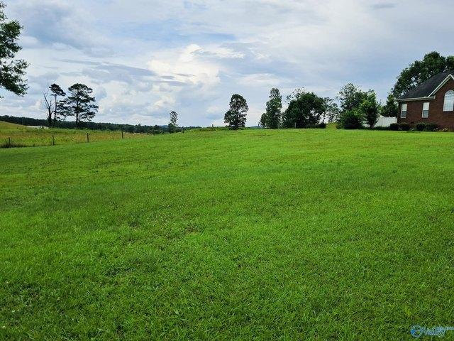 Land for sale in Etowah, Alabama