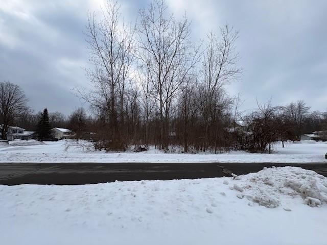Land for sale in Hamlin, New York