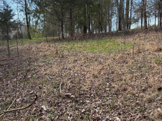 Land for sale in Tennessee