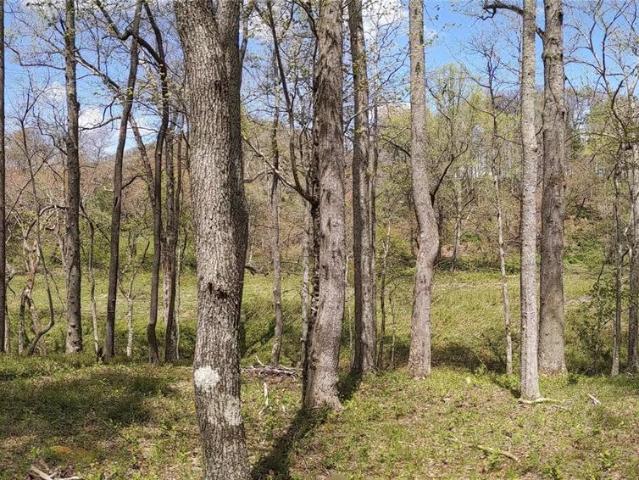 Land for sale in North Carolina