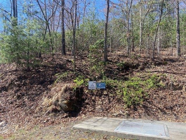Land for sale in Tuckasegee, North Carolina