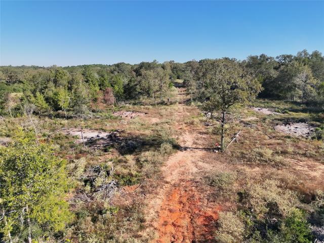 Land for sale in Centerville, Leon County