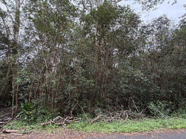 Land for sale in Keaau, Hawaiʻi County