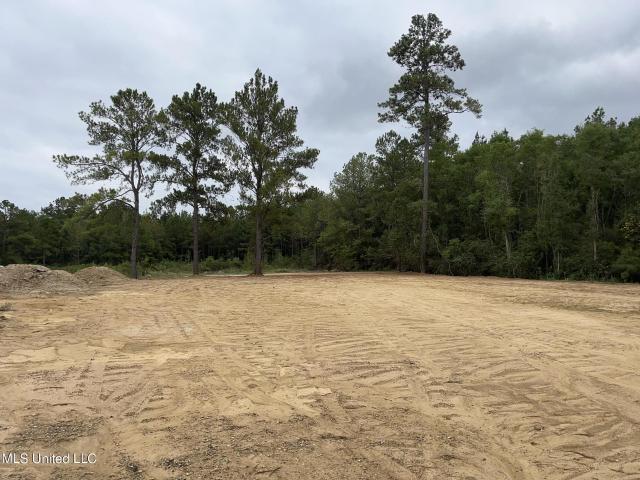 Land for sale in Hattiesburg, Mississippi