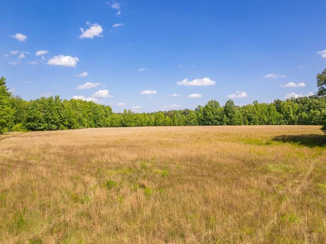 Land for sale in Tennessee