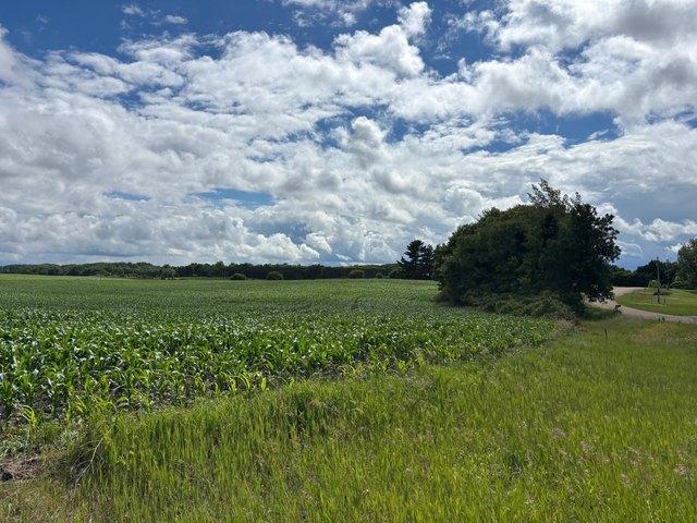 Land for sale in Underwood, Minnesota