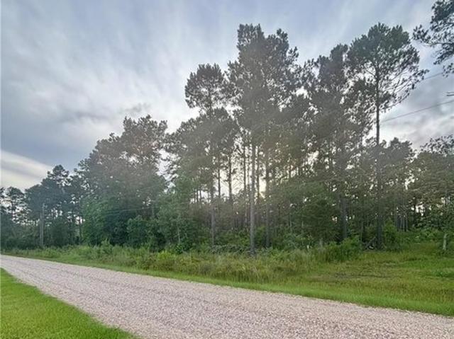 Land for sale in Holden, Louisiana