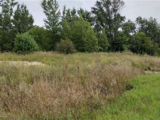 Land for sale in Underwood, Minnesota
