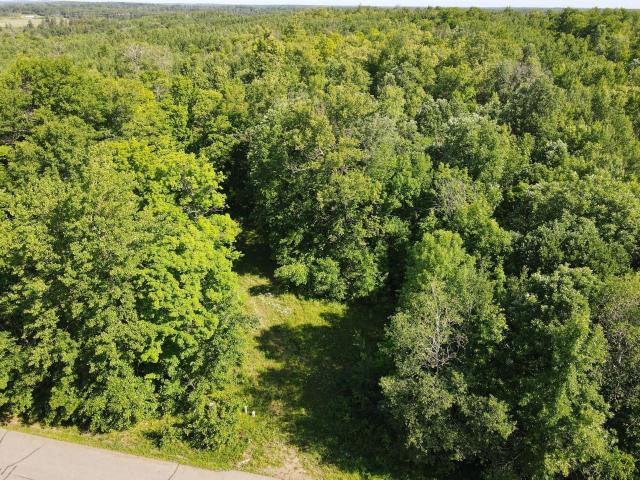 Land for sale in Grand Rapids, Minnesota