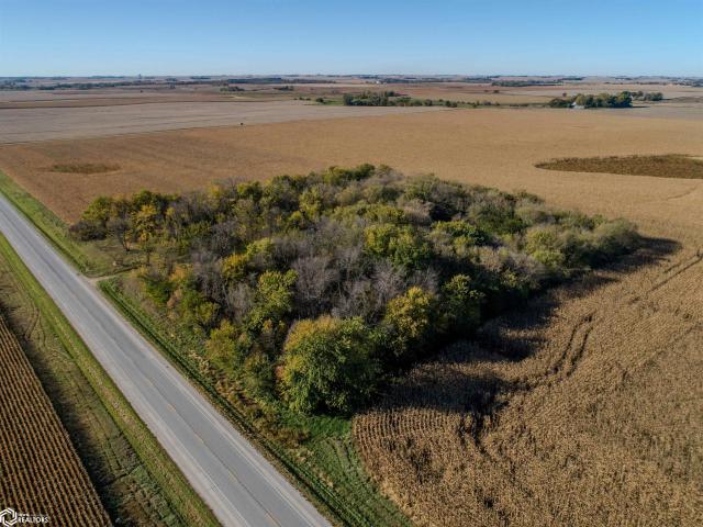 Land for sale in Burt, Kossuth County