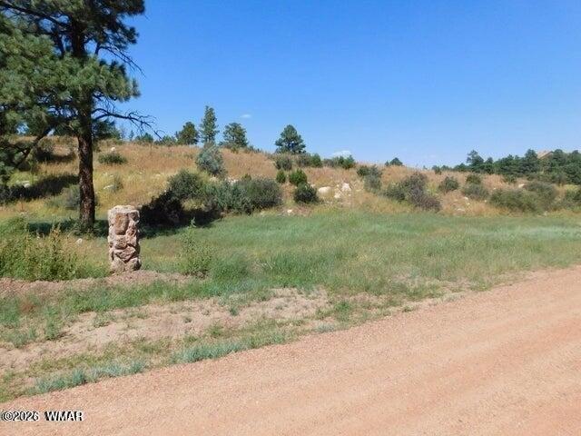 Land for sale in Navajo, Arizona