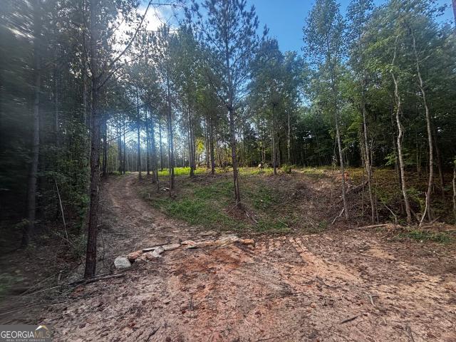 Land for sale in Elberton, Elbert County
