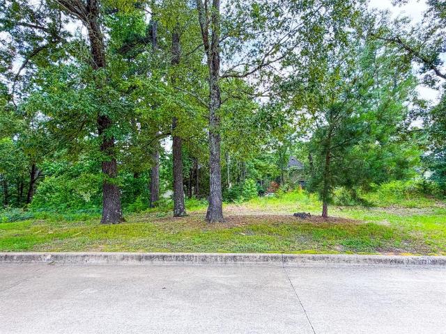 Land for sale in Smith, Texas