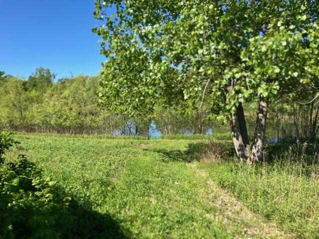 Land for sale in Urbana, Illinois