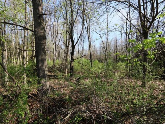 Land for sale in Niles, Michigan