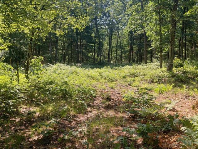 Land for sale in Everett Township, Newaygo County