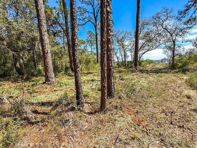 Land for sale in Carrabelle, Florida