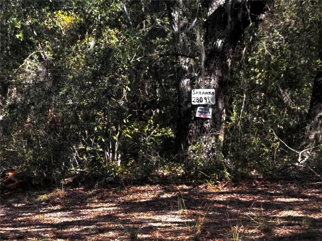 Land for sale in Umatilla, Florida