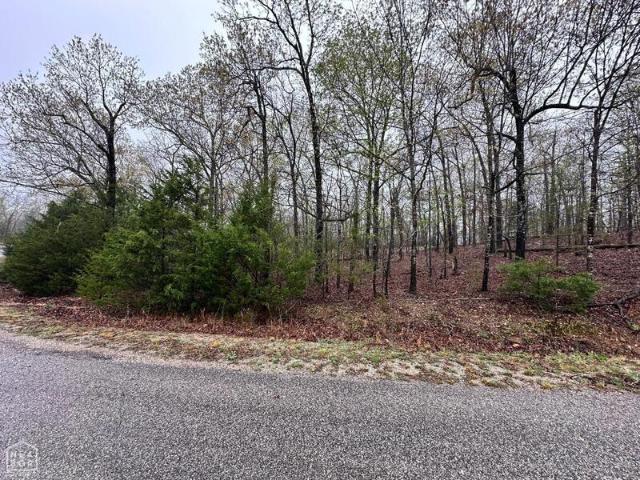 Land for sale in Horseshoe Bend