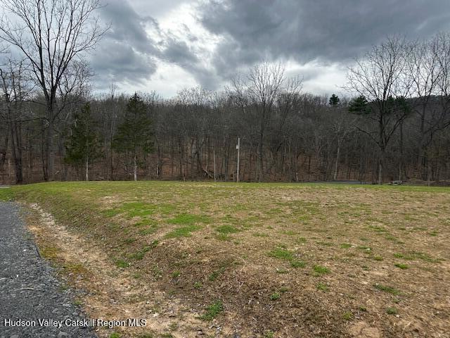Land for sale in Catskill, New York