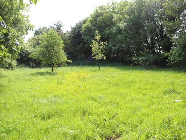 Detached House for sale in Cappamore, South Tipperary