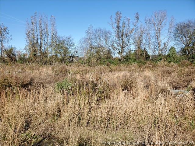 Land for sale in Raeford, North Carolina
