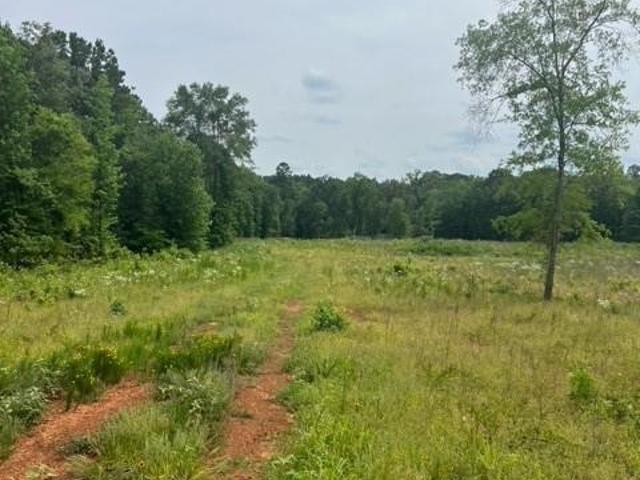 Land for sale in Louisiana