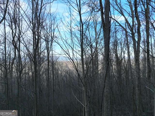 Land for sale in Gilmer, Georgia