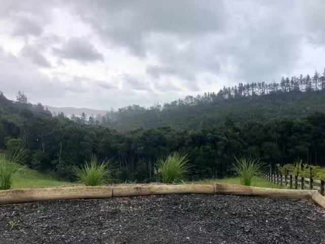 House for sale in Karetu, Northland