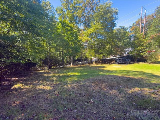 Land for sale in Elk Park, Avery County