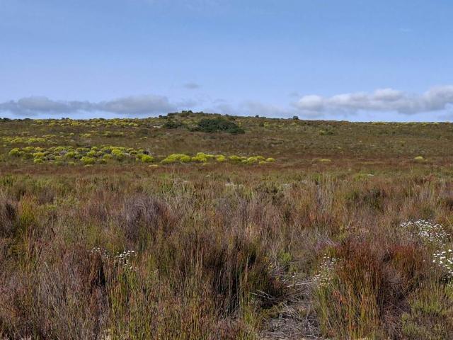 Farm for sale in Groot Brak Rivier, Western Cape