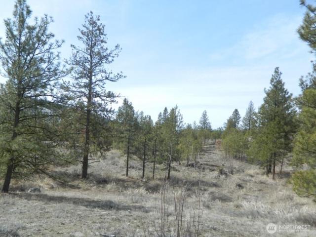 Land for sale in Tonasket, Okanogan County