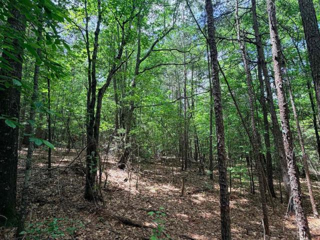 Land for sale in Pickens, South Carolina