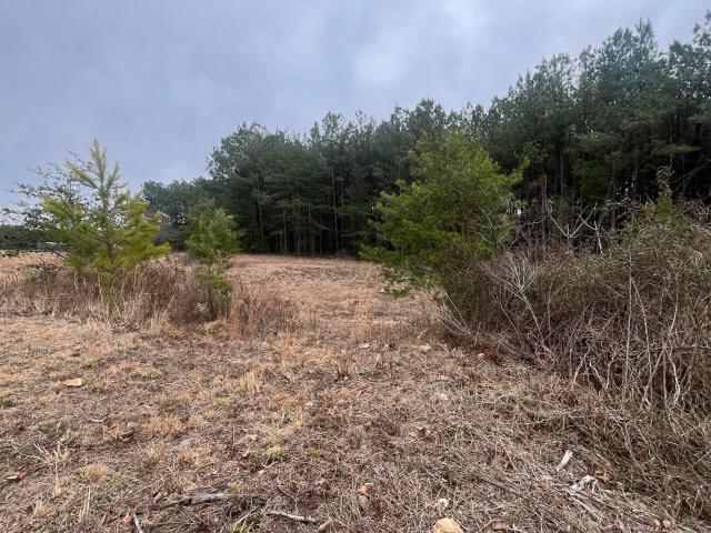 Land for sale in Tennessee