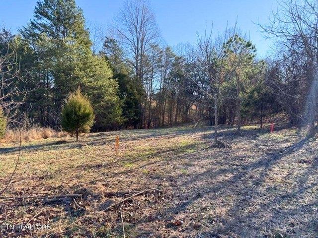 Land for sale in Tennessee