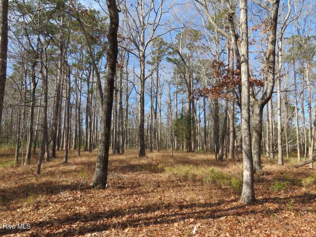 Land for sale in Oriental, North Carolina